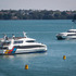 Fullers ferry staffer tests positive for Covid-19 in Auckland